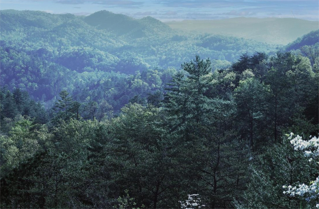 Tennessee land offer review for How to Sell Inherited Land in Tennessee