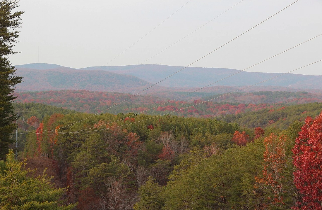 Tennessee land offer review for How to Sell Land Fast in Tennessee