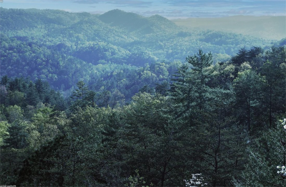 Tennessee land parcel records for Legal Documents for Selling Land in Tennessee