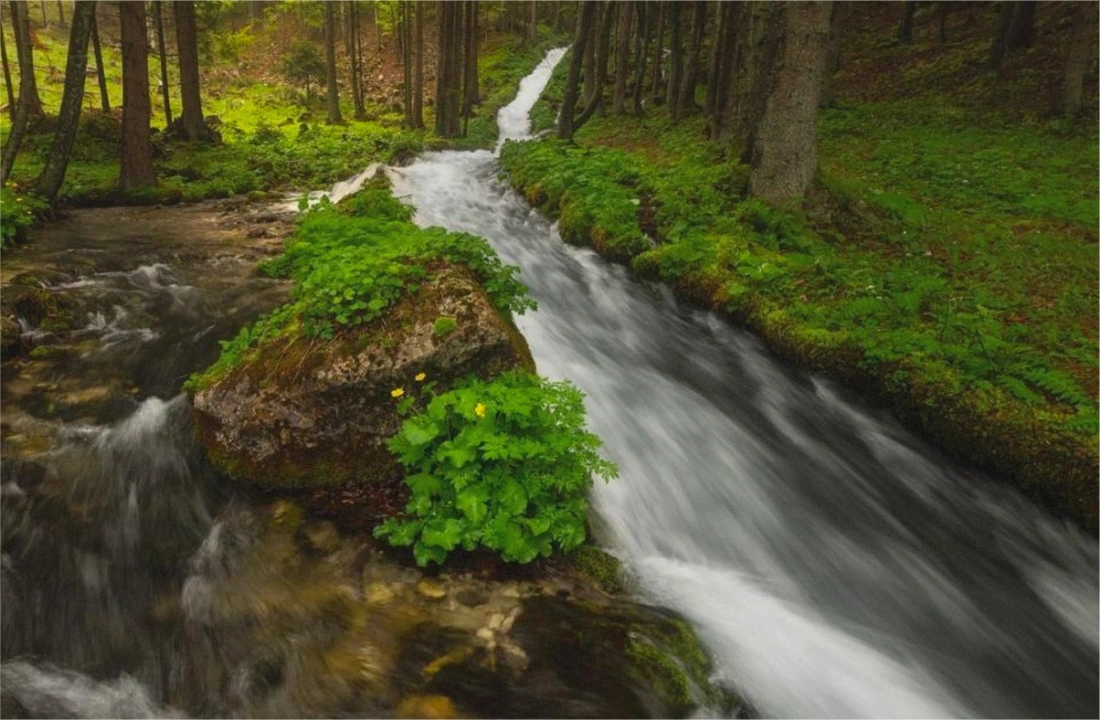 Tennessee land closing documents for Legal Documents for Selling Land in Tennessee