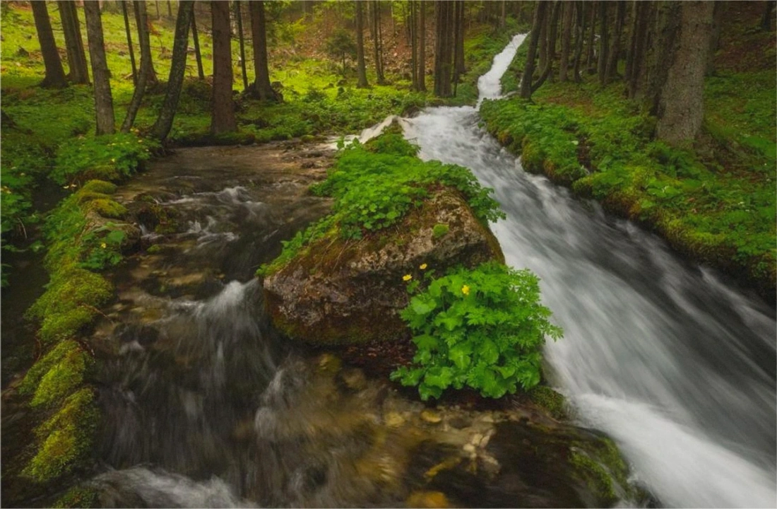 Tennessee land parcel records for Tax on Selling Land in Tennessee
