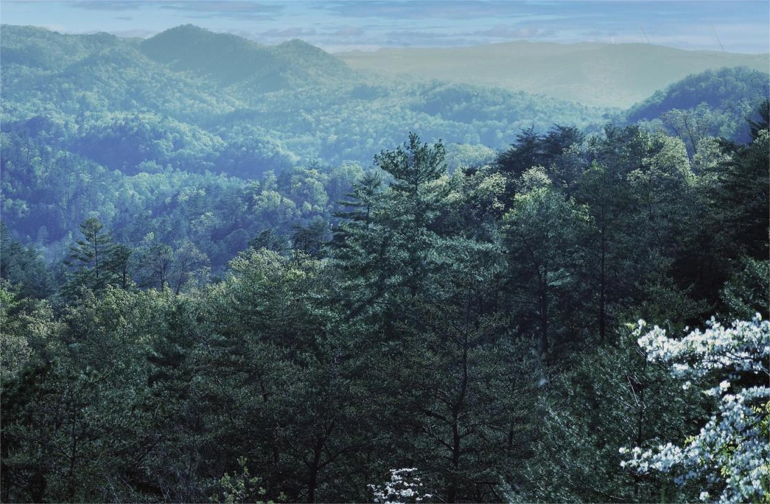 Tennessee land closing documents for Tennessee Land Buyers: What Sellers Should Know