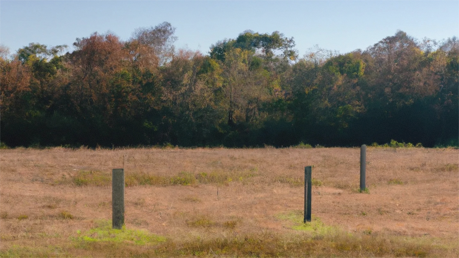 Open Tennessee land access road near Cocke County